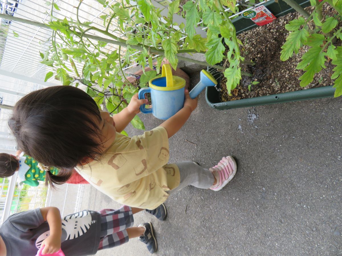 帯江小規模保育園,倉敷,活動内容,保育園