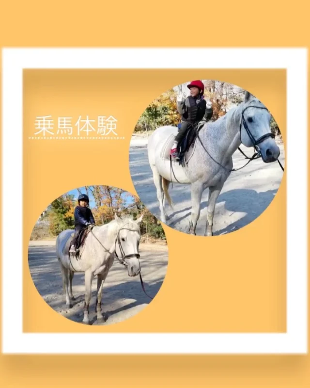 🌟乗馬体験（めろん希望者）

めろん組で乗馬体験に行ってきました🐴

自分たちの体よりも大きいお馬さんを見て
大興奮の子どもたち！！
実際に乗ってみると、「背が高くなった！」
「馬の背中ってあんなに硬いんだね」など
新しい発見があったようです☺️

乗馬だけでなくエサやりも体験させてもらい、
楽しむ姿が見られました！！